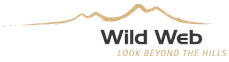 WILDWEB GROUP